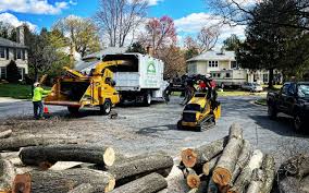 Best Organic Lawn Care Solutions  in Manville, NJ