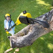 Lawn Drainage Solutions in Manville, NJ