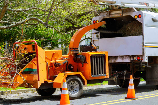 Best Emergency Tree Removal  in Manville, NJ