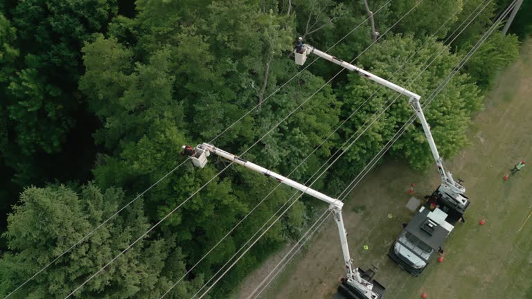 Best Utility Line Clearance  in Manville, NJ
